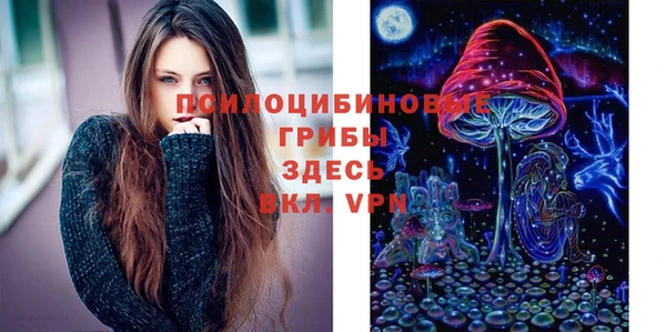 спиды Богородицк