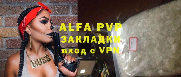 спиды Богородицк