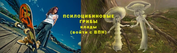 спиды Богородицк