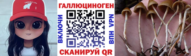 Галлюциногенные грибы ЛСД  Дно 